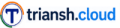 Triansh Ads – Digital Advertising Network